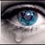 Pninit Ron Cole's profile image