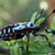 Pascual Noguez's profile image