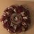 Sue Lawrence's profile image