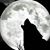 Ash Wolf's profile image