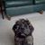 Diane Dudleston Hernandez's profile image