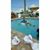 Darien Rocque's profile image