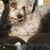 Susan Pierce-Grantham's profile image