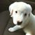 Amanda Duffey Benson's profile image