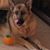 Michael Walther's profile image