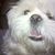 Rodolfo Martinez's profile image