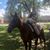 Jennifer Holman's profile image