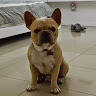 Frank R.'s profile image