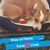 Sherry Butterworth's profile image