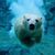 Bronwen Denton-Davis's profile image