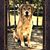 Judy Rathbun's profile image