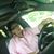 Celia Alvarado's profile image