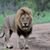 David Wallace's profile image