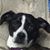 Lori Sebring Glass's profile image