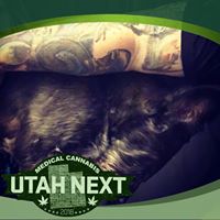 Travis Burroughs's profile image