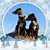 Tarin Tederman Burrows's profile image