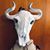 Lynn Principe Golden's profile image