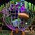 Armando Carrillo's profile image