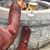 Tammy Griffin Bonner's profile image