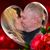 Tracy Novak Klein's profile image