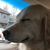 Sue Rieger Dolan's profile image