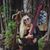 Claire Finley's profile image