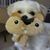Maria Destremps's profile image