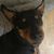 Anita Miller's profile image