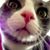 Melissa Filter's profile image