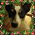 Ari Chelly Vera's profile image
