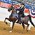 Erica Faulkner's profile image
