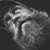 Dave Skinner's profile image