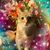 Shelly Bittner's profile image
