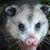 Cletus Pbody's profile image