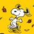 Jody Boyd's profile image