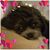Darlene Karnz Enderby's profile image