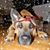 Alyssa Deery's profile image