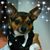 Debra Hann's profile image