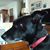 Barbara Thimmes's profile image