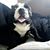 Dieselx Harley's profile image