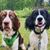 Julie Lunde Sevick's profile image