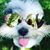 Laurie Wheller's profile image