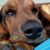 Patty Kalie Legenzoff's profile image