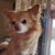 Liz Hoppe Pehle's profile image