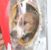 Emma Wason's profile image