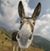 John Bryant's profile image