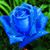 Guadalupe López's profile image