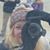 Maggie Campbell's profile image