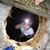 Cinthia Marlene Campos's profile image
