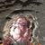 Jayme Faux-Bois's profile image